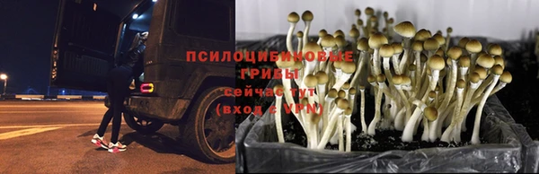 синтетический гашиш Баксан